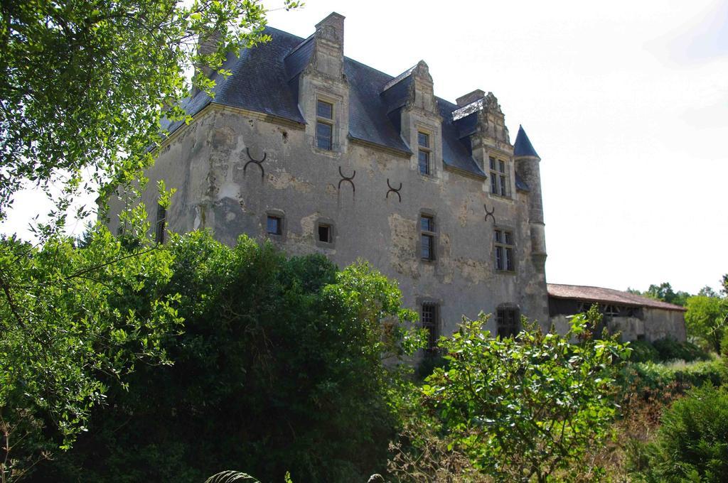 Chateau De Vermette Hotel La Chapelle-Gaudin Buitenkant foto